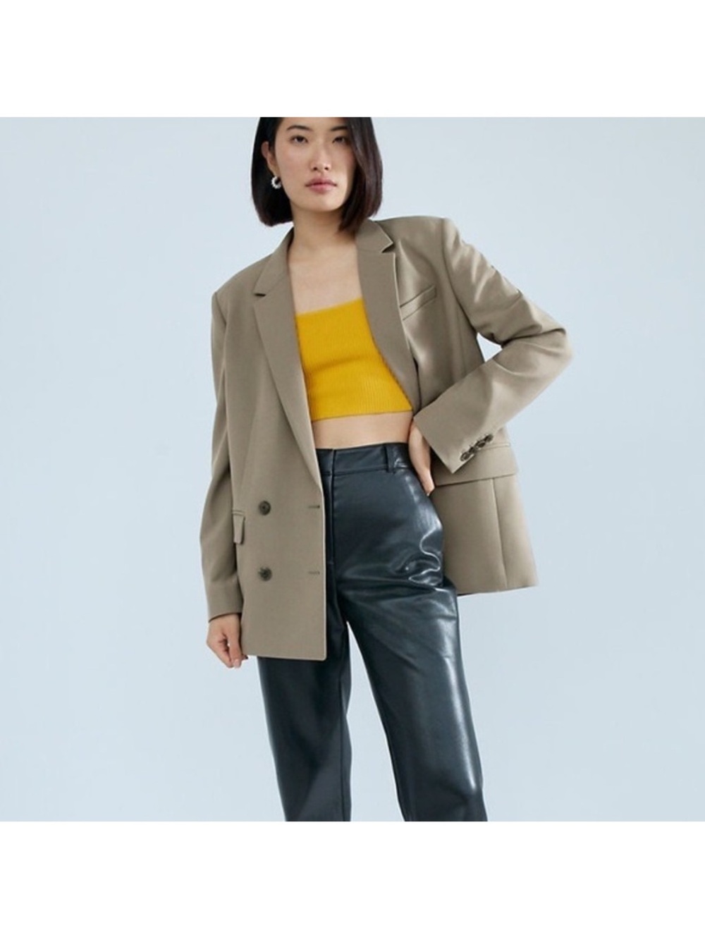 Aritzia Babaton Watson Double Breasted Oversized Blazer Sz M
